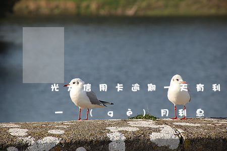光大信用卡逾期一天有利息(光大逾期一天,還一個(gè)月利息)