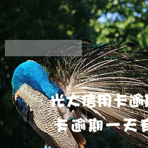 光大信用卡逾期一天有沒有影響-光大信用卡逾期一天有沒有影響征信
