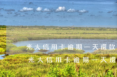 光大信用卡逾期一天還款征信有沒有影響-光大信用卡逾期一天還款征信有沒有影響啊