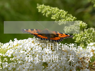 光大信用卡逾期一天還款會怎么樣-光大信用卡逾期一天還款會怎么樣啊