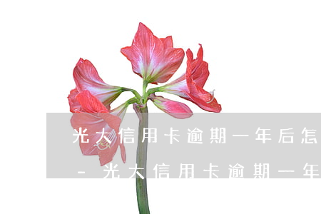 光大信用卡逾期一年后怎么協(xié)商-光大信用卡逾期一年后怎么協(xié)商還款
