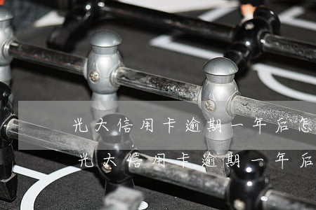 光大信用卡逾期一年后怎么協(xié)商(光大信用卡逾期一年后怎么協(xié)商)