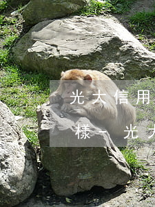 光大信用卡逾期一年多了會(huì)怎么樣-光大信用卡逾期一年多了會(huì)怎么樣嗎