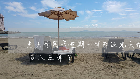 光大信用卡逾期一年未还(光大信用卡逾期一万八三年了)