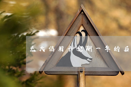 光大信用卡逾期一年的后果(光大信用卡 逾期)