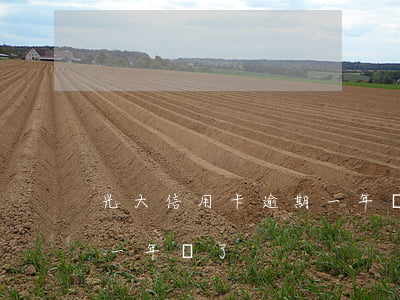 光大信用卡逾期一年還款(光大信用卡逾期了一年還了)