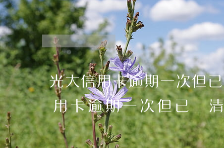 光大信用卡逾期一次但已還清賬單-光大信用卡逾期一次但已還清賬單怎么辦
