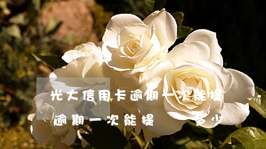 光大信用卡逾期一次 能提額嗎-光大信用卡逾期一次 能提額嗎多少錢