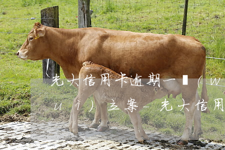 光大信用卡逾期一萬(wàn)多久會(huì)立案-光大信用卡逾期一萬(wàn)多久會(huì)立案呢