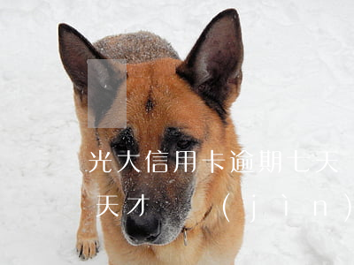 光大信用卡逾期七天還款(光大信用卡逾期3天才還進(jìn)去會怎么樣)