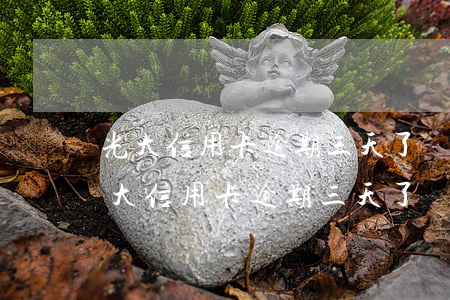 光大信用卡逾期三天了對以后影響多大-光大信用卡逾期三天了對以后影響多大啊