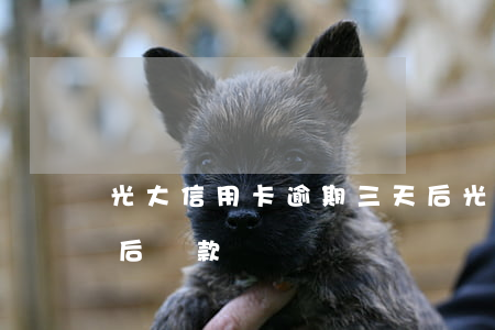 光大信用卡逾期三天后(光大信用卡逾期三天后還款)