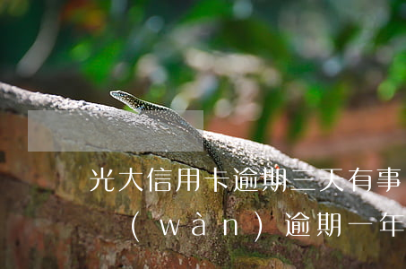 光大信用卡逾期三天有事嗎(欠光大信用卡3萬(wàn)逾期一年沒(méi)還怎么辦)