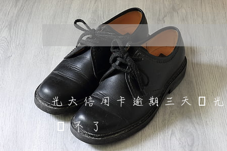 光大信用卡逾期三天還(光大信用卡逾期三天還不了)