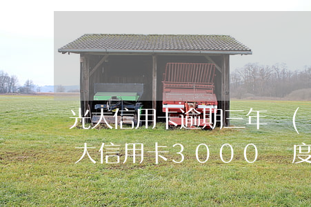 光大信用卡逾期三年會(huì)坐牢嗎 光大信用卡3000額度逾期兩年多了 會(huì)怎樣
