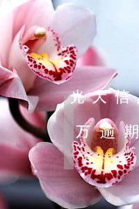 光大信用卡逾期三次会怎么样(光大信用卡4万逾期半年多)