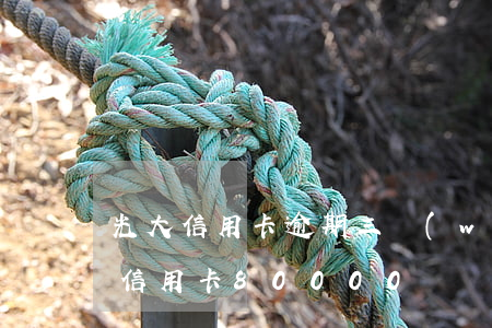 光大信用卡逾期三萬(wàn)(逾期欠光大信用卡80000)