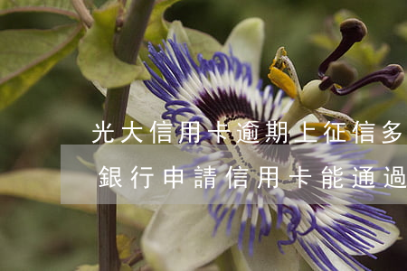 光大信用卡逾期上征信多久能消 有逾期光大銀行申請信用卡能通過嗎
