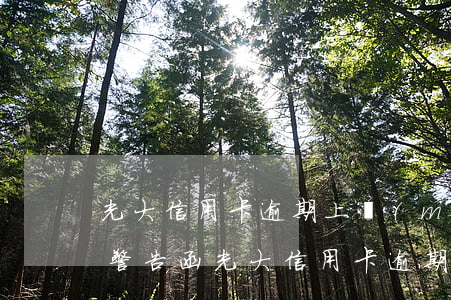 光大信用卡逾期上門(mén)發(fā)警告函(光大信用卡逾期上門(mén)發(fā)警告函)