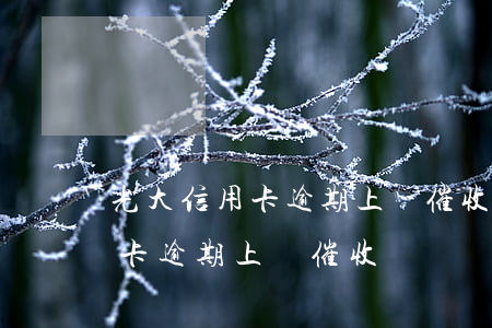 光大信用卡逾期上門催收沒錢還-光大信用卡逾期上門催收沒錢還怎么辦