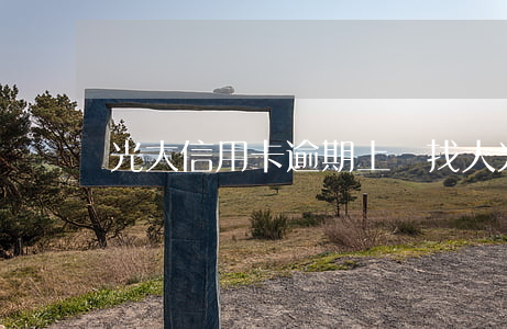光大信用卡逾期上門找人(光大信用卡上門要賬)