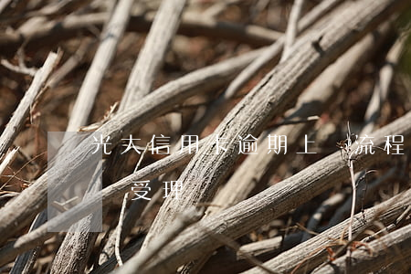 光大信用卡逾期上門流程(光大銀行信用卡上門受理)