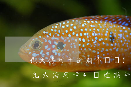 光大信用卡逾期不還會(huì)上門嗎-光大信用卡4萬逾期半年多