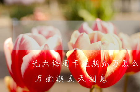 光大信用卡逾期九万怎么处理(光大信用卡7万逾期五天利息)