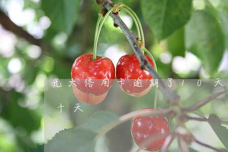 光大信用卡逾期了10天怎么辦-光大逾期十天