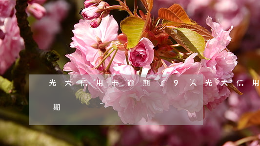 光大信用卡逾期了9天(光大信用了几天算逾期)