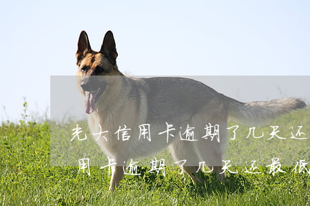 光大信用卡逾期了几天还最低还款-光大信用卡逾期了几天还最低还款有影响吗