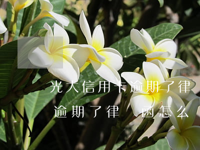 光大信用卡逾期了律師函怎么辦(光大信用卡逾期了律師函怎么辦)