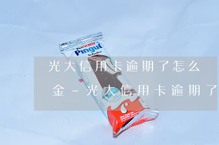 光大信用卡逾期了怎么協(xié)商還本金-光大信用卡逾期了怎么協(xié)商還本金呢