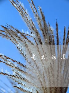 光大信用卡逾期了怎么沒(méi)催收