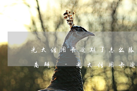 光大信用卡逾期了怎么跟銀行協(xié)商解決-光大信用卡逾期了怎么跟銀行協(xié)商解決分期