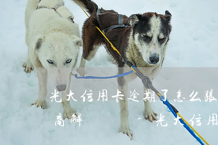 光大信用卡逾期了怎么跟銀行協(xié)商解決電話-光大信用卡逾期了怎么跟銀行協(xié)商解決電話多少