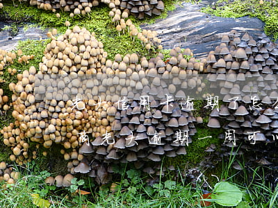 光大信用卡逾期了怎么辦怎么協(xié)商(光大逾期一周,可以協(xié)商不上征信嗎?)