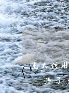 光大信用卡逾期了怎么還(光大信用卡逾期后還清了多久才能恢復(fù)使用)