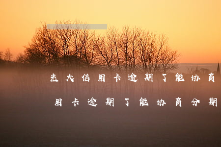 光大信用卡逾期了能协商分期还吗-光大信用卡逾期了能协商分期还吗怎么还
