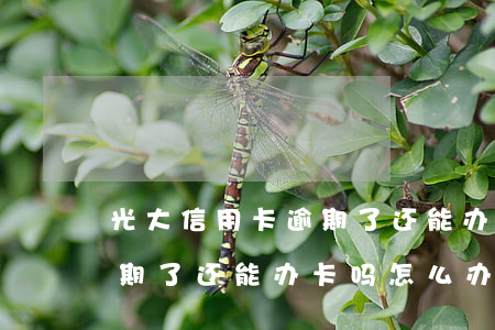 光大信用卡逾期了还能办卡吗(光大信用卡逾期了还能办卡吗怎么办)
