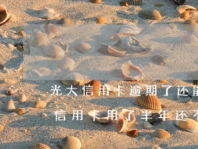光大信用卡逾期了还能提额吗-为什么光大信用卡用了半年还不能提额