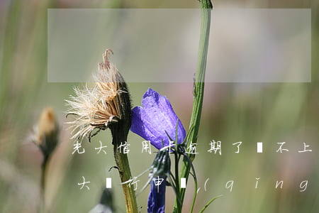 光大信用卡逾期了還不上怎么辦-有逾期光大銀行申請(qǐng)信用卡能通過嗎