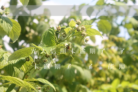 光大信用卡逾期了還了還能用嗎-光大信用卡逾期了還了還能用嗎怎么辦