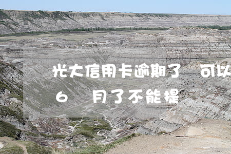 光大信用卡逾期了還可以提額嗎(光大信用卡6個月了不能提額)