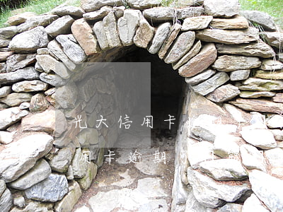 光大信用卡逾期了還能辦理信用卡-光大信用卡逾期了還能辦理信用卡嗎