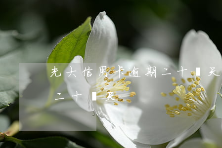 光大信用卡逾期二十幾天-光大信用卡逾期二十幾天