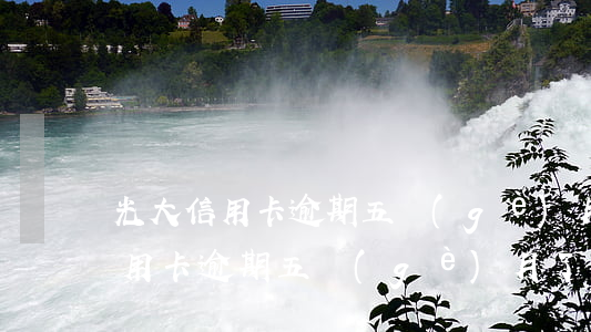 光大信用卡逾期五個(gè)月了-光大信用卡逾期五個(gè)月了怎么辦