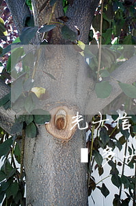 光大信用卡逾期五天了對(duì)以后影響多大-光大信用卡逾期五天了對(duì)以后影響多大呢
