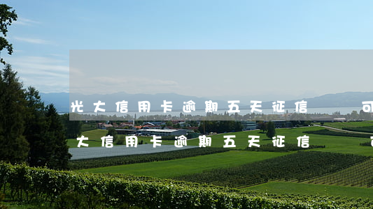 光大信用卡逾期五天征信記錄可以消除-光大信用卡逾期五天征信記錄可以消除嗎