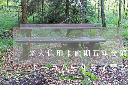 光大信用卡逾期五年金额一万五(欠光大信用卡一万五一年半了,要起诉)